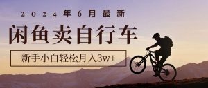 2024年6月最新闲鱼卖自行车，新手小白轻松月入3w+项目-KJ分享