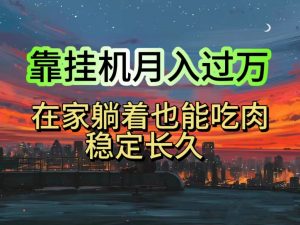 挂机项目日入1000+,躺着也能吃肉,适合宝爸宝妈学生党工作室,电脑手…-KJ分享