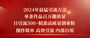 2024年最猛暴力引流方法,单条作品百万播放 单日引流500+高质量精准创业粉-KJ分享