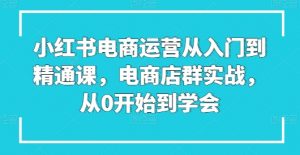 小红书电商运营从入门到精通课,电商店群实战,从0开始到学会-KJ分享