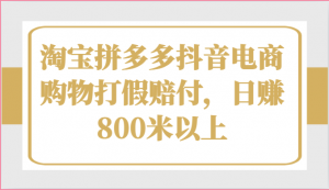 淘宝拼多多抖音电商购物打假赔付，日赚800米以上-KJ分享
