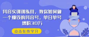抖音实训训练营，教你如何做一个赚钱的抖音号，单日单号增粉30万-KJ分享