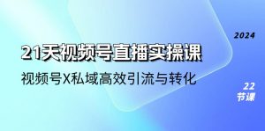 21天-视频号直播实操课，视频号X私域高效引流与转化（22节课）-KJ分享