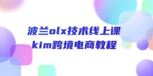 波兰olx 技术线上课，kim跨境电商教程-KJ分享