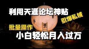 利用天涯论坛神贴，引爆私域，批量操作，小白轻松月入过w-KJ分享