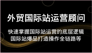 外贸国际站运营顾问-快速掌握国际站运营的底层逻辑，国际站爆品打造操作全链路等-KJ分享