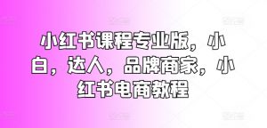 小红书课程专业版，小白，达人，品牌商家，小红书电商教程-KJ分享