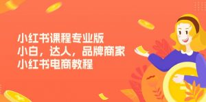 小红书课程专业版，小白，达人，品牌商家，小红书电商教程（15节）-KJ分享