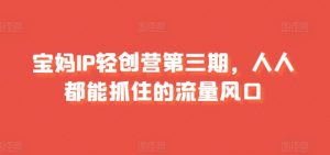 宝妈IP轻创营第三期，人人都能抓住的流量风口-KJ分享