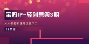 宝妈IP-轻创营第3期，人人都能抓住的流量风口（21节课）-KJ分享