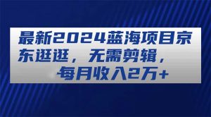 最新2024蓝海项目京东逛逛，无需剪辑，每月收入2万+-KJ分享