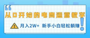 从0开始的电商运营教学,月入2W+,新手小白轻松躺赚-KJ分享