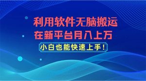 利用软件无脑搬运，在新平台月入上万，小白也能快速上手-KJ分享