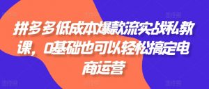 拼多多低成本爆款流实战私教课,0基础也可以轻松搞定电商运营-KJ分享