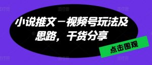 小说推文—视频号玩法及思路，干货分享-KJ分享