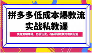 拼多多低成本爆款流实战私教课,快速复制落地,野派玩法,0基础轻松搞定电商运营-KJ分享