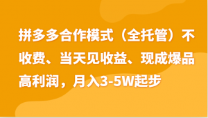 最新拼多多模式日入4K+两天销量过百单,无学费、老运营代操作、小白福利-KJ分享