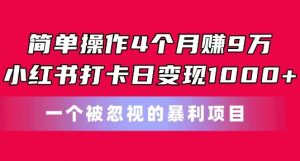 简单操作4个月赚9w,小红书打卡日变现1k,一个被忽视的暴力项目-KJ分享