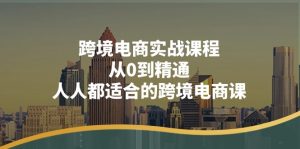 跨境电商实战课程：从0到精通，人人都适合的跨境电商课（14节课）-KJ分享