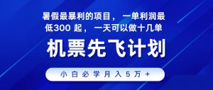 2024最新项目冷门暴利，整个暑假都是高爆发期，一单利润300+，每天可批量操作十几单-KJ分享