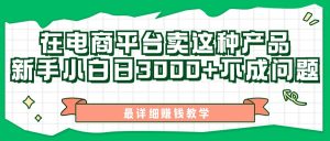 最新在电商平台发布这种产品，新手小白日入3000+不成问题，最详细赚钱教学-KJ分享