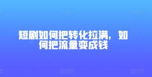 短剧如何把转化拉满，如何把流量变成钱-KJ分享