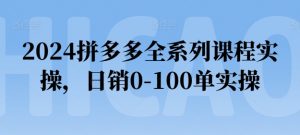 2024拼多多全系列课程实操,日销0-100单实操【必看】-KJ分享