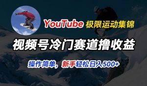 视频号冷门赛道撸收益,YouTube搬运极限运动集锦,暴力起号,操作简单流量高,轻松日入5张-KJ分享