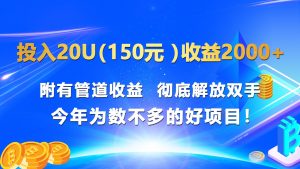 投入20u(150元 )收益2000+ 附有管道收益 彻底解放双手 今年为数不多的好项目!-KJ分享