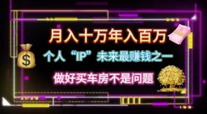 个人“ip”月入10w，年入100w-KJ分享