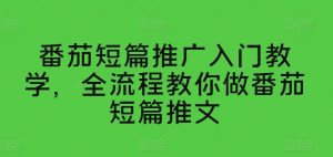 番茄短篇推广入门教学，全流程教你做番茄短篇推文-KJ分享