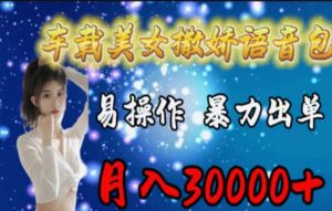 车载美女撒娇语音包，执行就出单，月入3000＋，小白看完课程就能马上实操-KJ分享