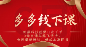 多多线下课:新黑科技起爆日出千单,0元直通车起飞链接,全网最新玩法,低成本高回报-KJ分享