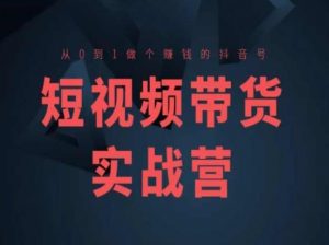 短视频带货实战营(高阶课)，从0到1做个赚钱的抖音号-KJ分享