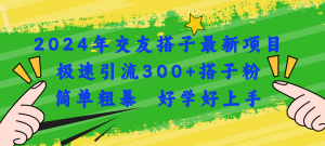2024年交友搭子最新项目,极速引流300+搭子粉,简单粗暴,好学好上手-KJ分享