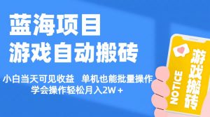 【蓝海项目】游戏自动搬砖 小白当天可见收益 单机也能批量操作 学会操…-KJ分享
