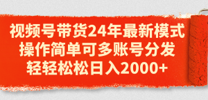 视频号带货24年最新模式,操作简单可多账号分发,轻轻松松日入2000+-KJ分享