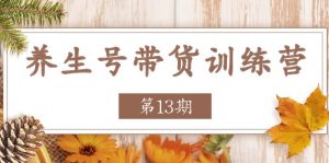 养生号带货训练营【第13期】收益更稳定的玩法,让你带货收益爆炸-KJ分享
