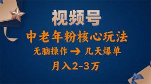 视频号火爆玩法,高端中老年粉核心打法,无脑操作,一天十分钟,月入两万-KJ分享