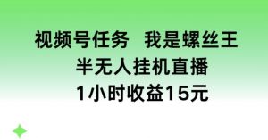 视频号任务,我是螺丝王, 半无人挂机1小时收益15元-KJ分享