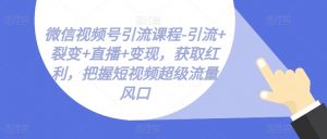 微信视频号引流课程-引流+裂变+直播+变现,获取红利,把握短视频超级流量风口-KJ分享