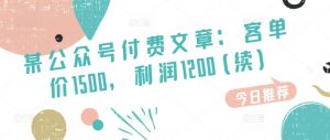 某公众号付费文章:客单价1500,利润1200(续),市场几乎可以说是空白的-KJ分享