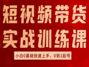 短视频带货实战训练课,好物分享实操,小白0基础快速上手,0到1起号-KJ分享
