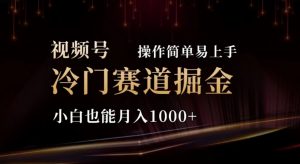 2024视频号冷门赛道掘金，操作简单轻松上手，小白也能月入1000+-KJ分享