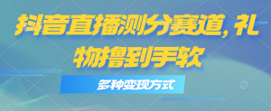 抖音直播测分赛道，多种变现方式，轻松日入1000+-KJ分享