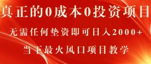 真正的0成本0投资项目，无需任何垫资即可日入2000+，当下最火风口项目教学-KJ分享