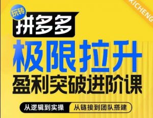拼多多极限拉升盈利突破进阶课,从算法到玩法,从玩法到团队搭建,体系化系统性帮助商家实现利润提升-KJ分享