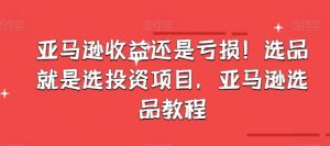亚马逊收益还是亏损！选品就是选投资项目，亚马逊选品教程-KJ分享