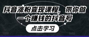 抖音涨粉变现课程,带你做一个赚钱的抖音号-KJ分享
