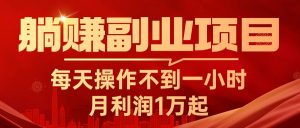 躺赚副业项目,每天操作不到一小时,月利润1万起,实战篇-KJ分享